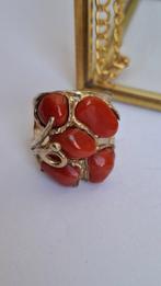 Bloedkoraal Koraal - Corallo rubrium (Zonder minimumprijs)