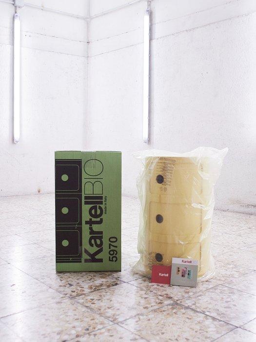 Kartell - Anna Castelli Ferrieri - Container - Componibili, Antiquités & Art, Antiquités | Meubles | Chaises & Canapés
