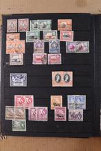 Monde 1900/1998 - Lot en 3 stockbooks, 1 album de