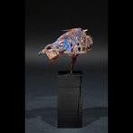 Fetisj eenden schedel - Vodou - Fon - Benin, Antiek en Kunst