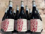 2020 Montresor Bardolino Bio - Bardolino - 12 Bouteilles, Nieuw