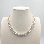 Zonder minimumprijs - Halsketting Zilver Parel - Akoya, Nieuw