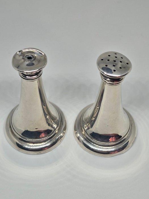 Zoutvat - .925 zilver - Een paar zout- en peperstrooiers van, Antiek en Kunst, Curiosa en Brocante
