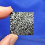 MESOSIDERITE TNZ 091 (Algeria, 2020) Stony-iron meteoriet.
