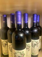 2022 Marziano Abbona Papa Celso, Dolcetto di Dogliani -, Verzamelen, Nieuw