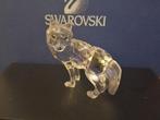 Swarovski - Beeldje - Wolf - 207549 - Box + Certificate -, Antiek en Kunst