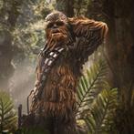 Star Wars Episode VI Art Scale Statue 1/10 Chewbacca and Tok, Verzamelen, Ophalen of Verzenden, Nieuw
