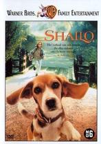 Shailo - DVD (Films (Geen Games)), Cd's en Dvd's, Dvd's | Overige Dvd's, Ophalen of Verzenden, Zo goed als nieuw