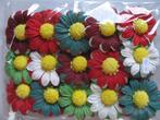 Mulberry chrysant christmas mixed +/-65 mm / pak15