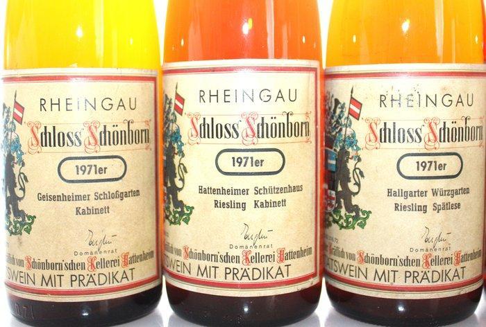 1971 to 1979 Riesling Spätlese + Kabinett - Schloss, Verzamelen, Wijnen