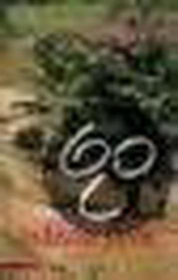 INDISCHE JAREN 9789045004549 A. Zikken, Verzenden, A. Zikken