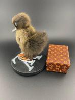 Canard Support de corps entier pour taxidermie - Anas