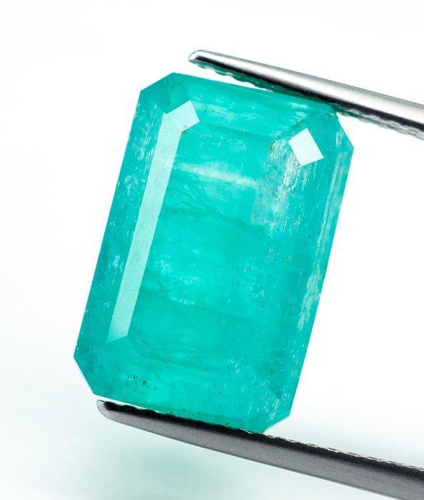 Zonder minimumprijs Smaragd - 8.83 ct - Bellerophon Gemlab -, Handtassen en Accessoires, Edelstenen