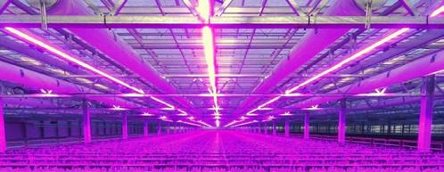 50 meter /  550W LED power groeistrip assimilatie en stuurli, Jardin & Terrasse, Produits de culture, Envoi