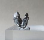 Campo del Cielo meteorite IJzer meteoriet - 92,4 g - (58), Collections