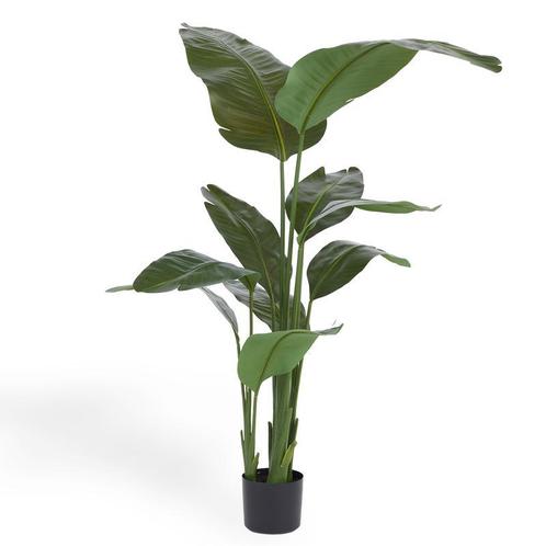 Strelitzia - plante artificielle - 160 x 80 cm, Huis en Inrichting, Woonaccessoires | Overige, Verzenden
