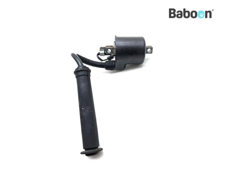 Bobine Honda CBF 250 (CBF250), Motoren, Onderdelen | Honda, Verzenden