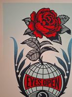 Shepard Fairey (OBEY) (1970) - EYES OPEN