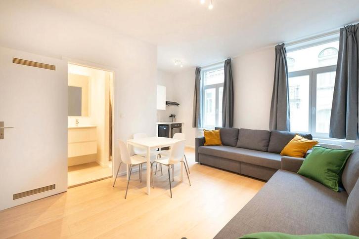 Appartement en Rue aux Laines, Brussels, Immo, Appartementen en Studio's te huur
