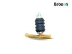 Benzinepomp Ducati 900 SS 1998-2002 (900SS) (82910212A), Motoren, Onderdelen | Ducati, Verzenden, Gebruikt