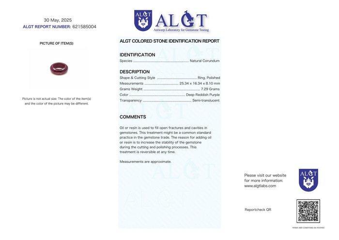 Geen veilingreserve - ALGT-gecertificeerd - Grote en Zeer, Verzamelen, Mineralen en Fossielen