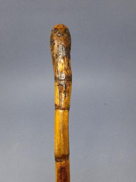 Canne de marche (3) - Bambou, Bois - Cannes pour adultes et, Antiek en Kunst, Antiek | Overige Antiek