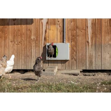 Porte poulet smartcoop - kerbl disponible aux enchères