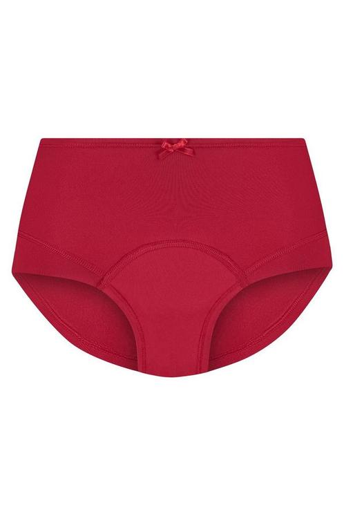 RJ Period Short La FlecheXXL=48Maat 46/48 (XL) of groter, Vêtements | Femmes, Sous-vêtements & Lingerie, Envoi