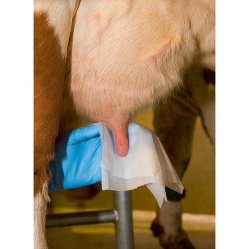Schoonmaakpapier vochtig, navulling, 20x20cm, 800 vel -, Dieren en Toebehoren, Stalling en Weidegang