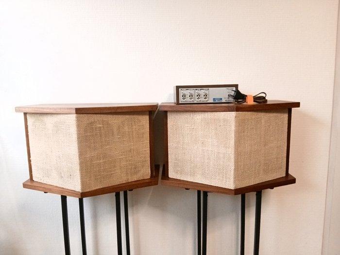 Bose - 901 Series II Luidsprekerset, Audio, Tv en Foto, Radio's