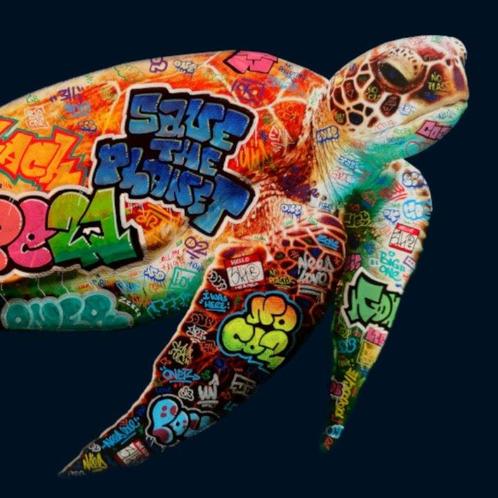 BLACH (1980) - Tortue, Antiek en Kunst, Kunst | Schilderijen | Modern