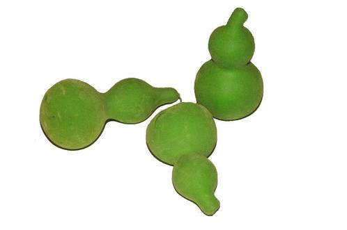 Bullis gedroogde kalebas velvet groen 10 stuks kalebassen, Hobby en Vrije tijd, Knutselen, Nieuw
