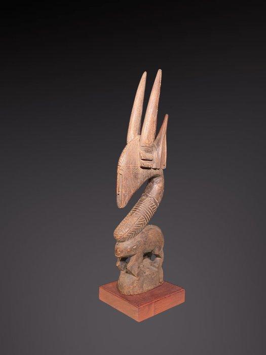 Beeldhouwwerk Tiwara - 50 cm - Cimier Tiwara - tiwara - Mali, Antiquités & Art, Art | Art non-occidental
