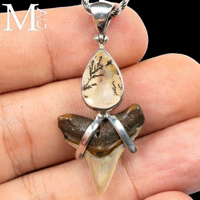 Bijoux jurassiques Support de corps entier pour taxidermie -, Antiek en Kunst, Curiosa en Brocante