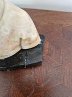 Daprès le Professeur Tuch - Sculpture, La jeune fille - 15