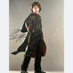 Harry Potter - Signed by Daniel Radcliffe (Harry), Collections