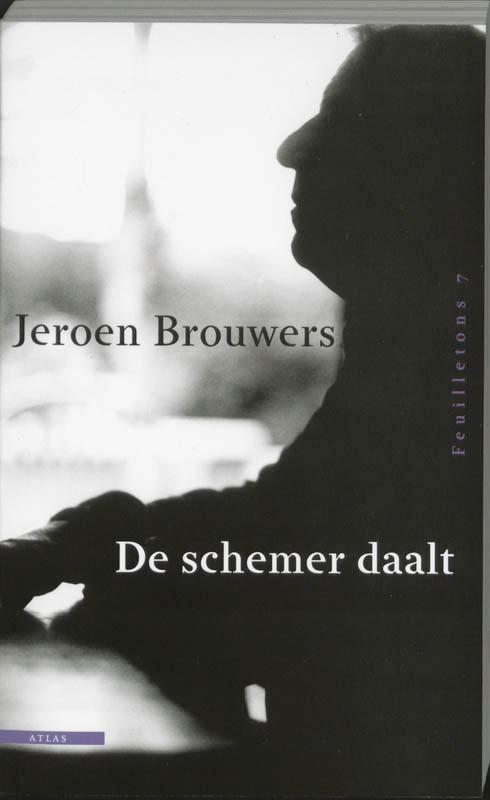 De schemer daalt / Feuilletons / 7 9789045012629, Boeken, Romans, Gelezen, Verzenden