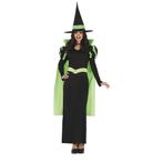 Heks Halloween Kostuum Dames Groen, Verzenden, Nieuw