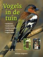 Vogels in de tuin 9789048303342, Verzenden, Zo goed als nieuw