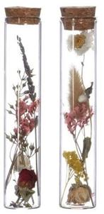 Reageerbuisjes glas met kurk 15 cm Ø3 cm doos 6 stuks, Nieuw