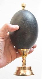 Emoe Ei - Dromaius novaehollandiae - 20 cm - 0 cm - 0 cm