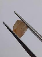 Natural orangey brown Apatite - 1.711 ct - Rough Gemstone fo, Verzenden