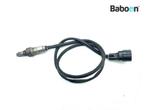 Lambda Sonde Kawasaki ZX 10 R 2016-2018 + ABS (NINJA ZX-10R, Motoren, Verzenden, Gebruikt