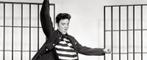 The Elvis Concert Tickets, Tickets & Billets