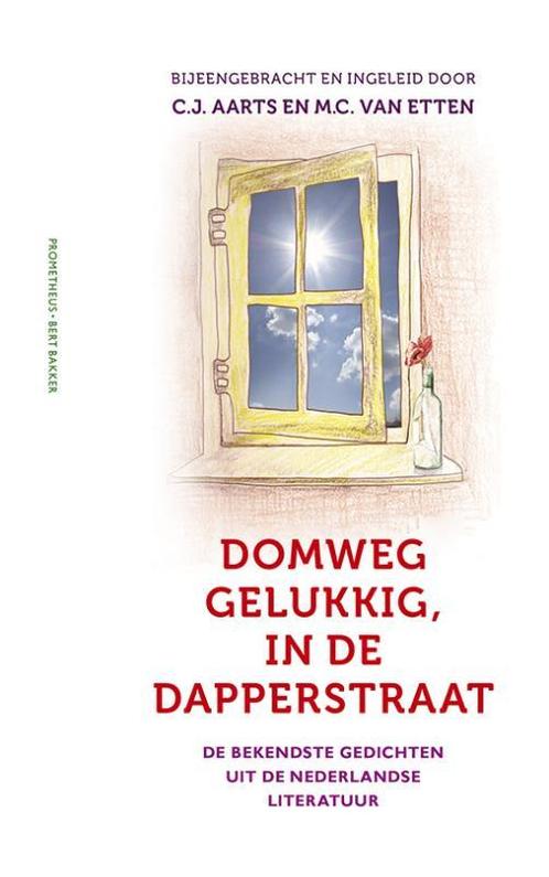 Domweg gelukkig, in de Dapperstraat 9789035140738 C.J. Aarts, Boeken, Overige Boeken, Gelezen, Verzenden