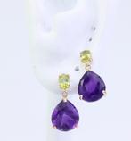 Zonder minimumprijs - Oorbellen - 14 karaat Geel goud, Nieuw