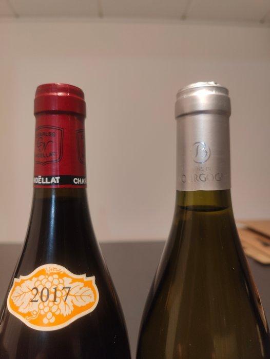 2017 Domaine Charles Noëllat, Vosne Romanée & 2021 Maison, Collections, Vins