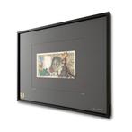 Ciscø (1979) -  Sauvage