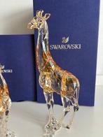 Swarovski - Figure - Swarovski - SCS - jaarstuk Mudiwa met