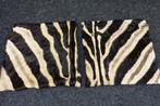 real zebra skin covers - Coussin (2)